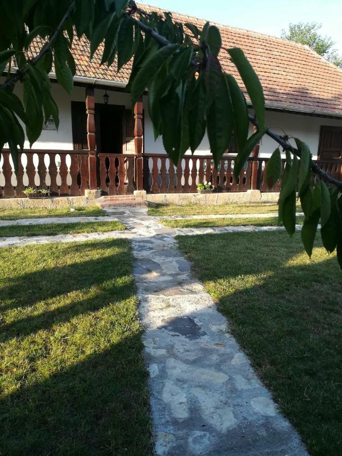 Bodrogparti Vendeghaz Sarazsadany Hotel Exterior photo